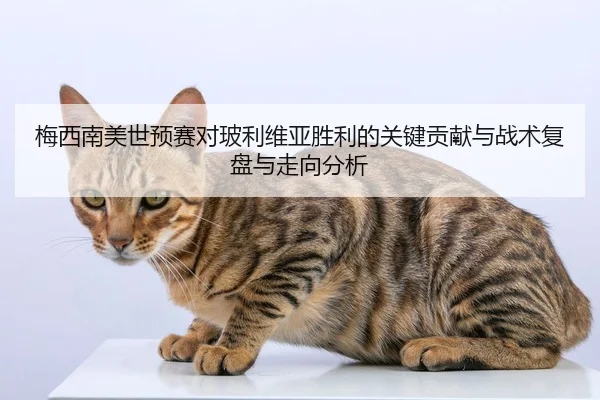 mei-xi-nan-mei-shi-yu-sai-dui-bo-li-wei-ya-sheng-li-de-guan-jian-gong-xian-yu-zhan-shu-fu-pan-yu-zou-xiang-fen-xi-2-788.jpg