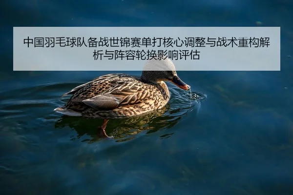 zhong-guo-yu-mao-qiu-dui-bei-zhan-shi-jin-sai-dan-da-he-xin-tiao-zheng-yu-zhan-shu-zhong-gou-jie-xi-yu-zhen-rong-lun-2-460.jpg